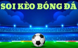 cá cược bóng đá bk8